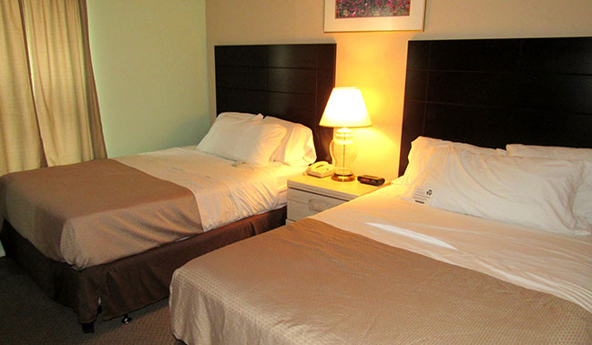 Victoria Palms Inn & Suites, Donna Standard Double Room